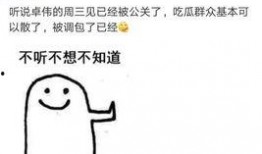 卓伟爆料动漫视频大全集,动漫视频大全集揭秘，精彩瞬间一网打尽！