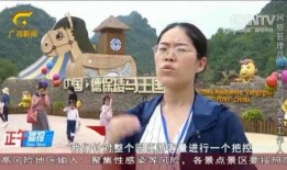 广西最新爆料视频新闻,揭秘神秘事件背后的真相